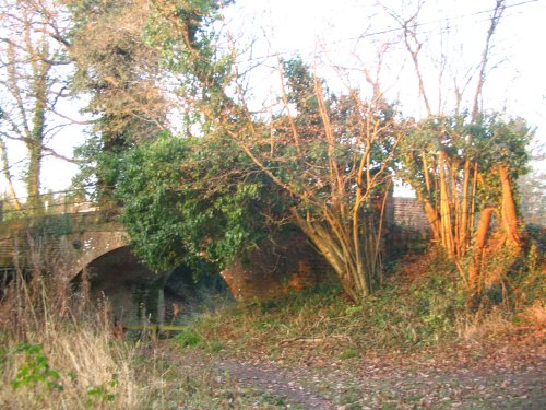 Basingstoke Canal, Up Nately