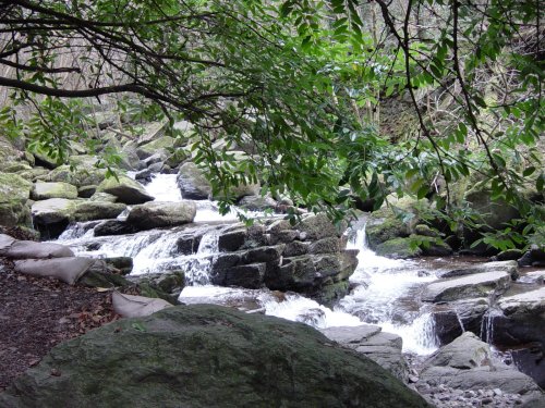 Near Watersmeet (2)