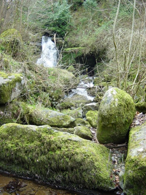 Near Watersmeet (4)