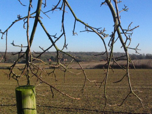 'Across the fields'