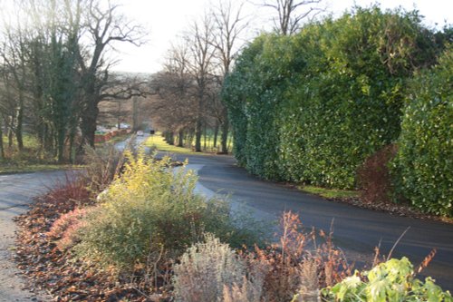 Grounds of Lumley Castle