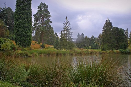 Bedgebury Colours