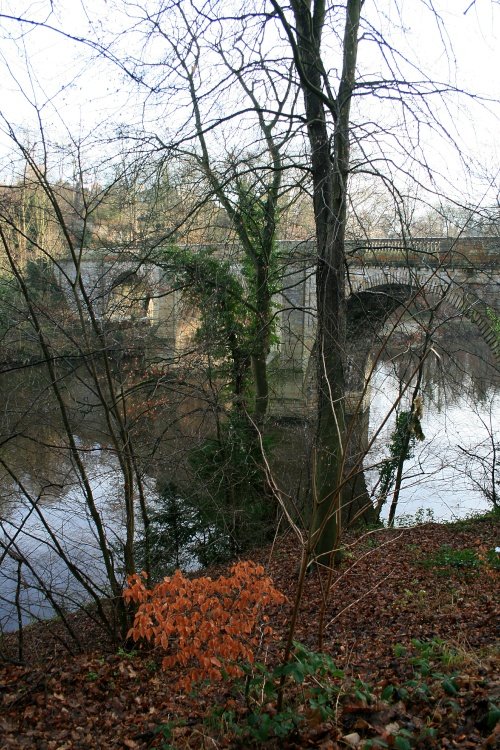 River Wear in January.