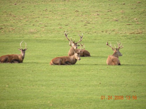 Having a rest.