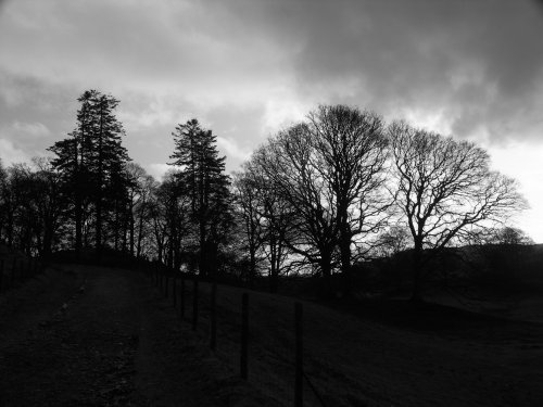 the coffin trail near Rydal Hall Ambleside