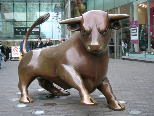 Brass Bull