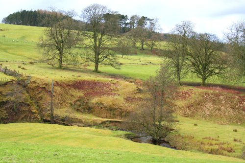 Knowlemere Manor Grounds