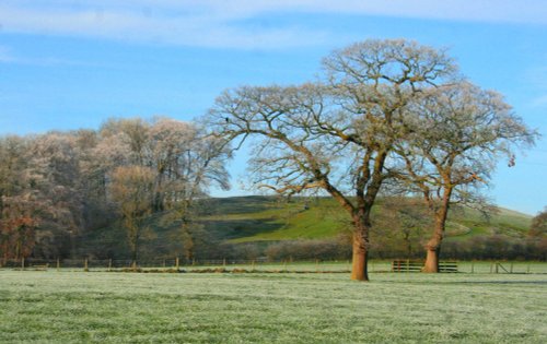 Ribchester