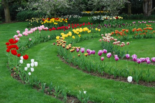 Ring of Flowers