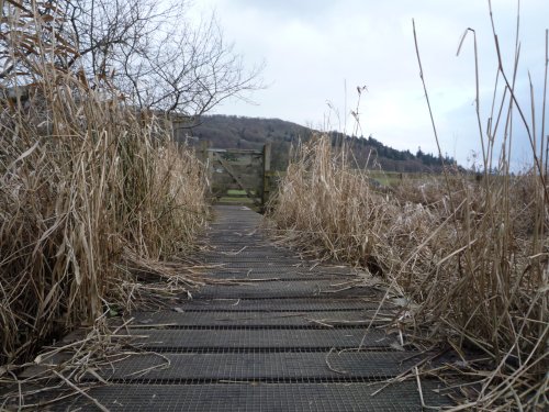 Birdhouse Meadow, Ambleside