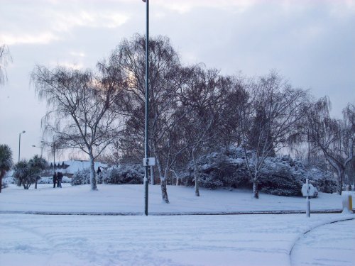 Snowy Sudbury - February 2009