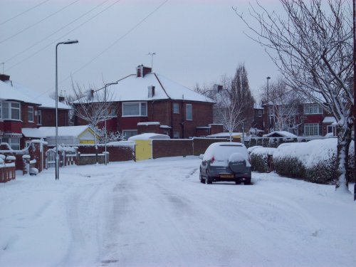 Snowy Sudbury - February 2009