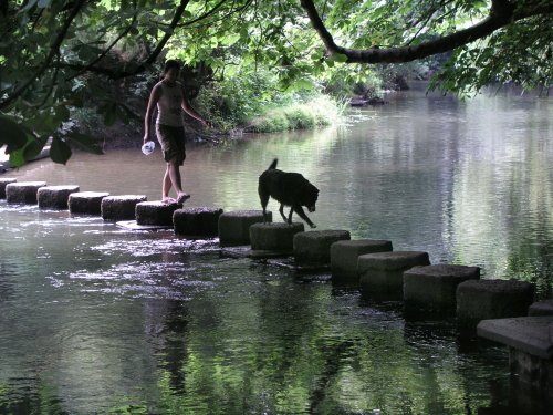 Stepping Stones over the River Mole