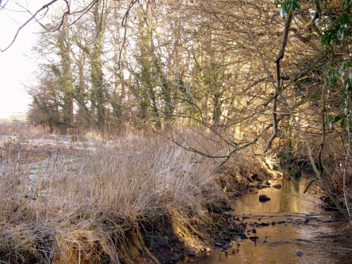 Baydale Beck, Darlington