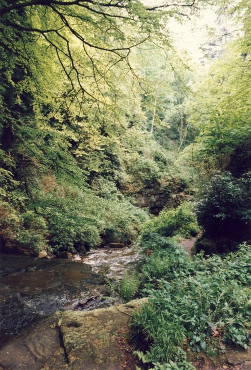 A picture of Cragside