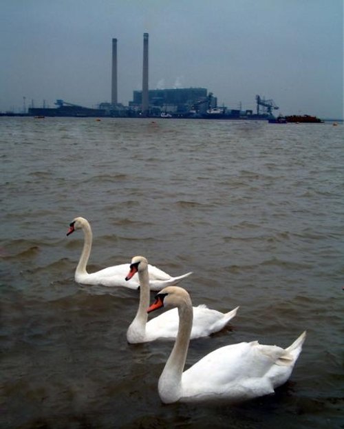 The Thames at Gravesend