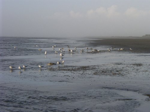 Winter scene at Cleveleys