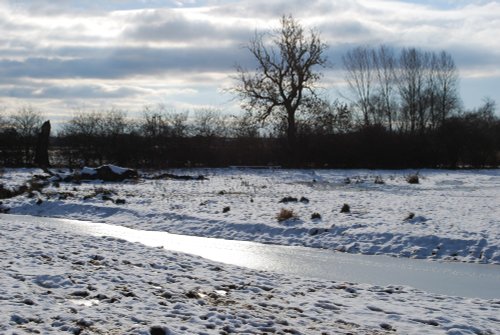 Cossington Meadows