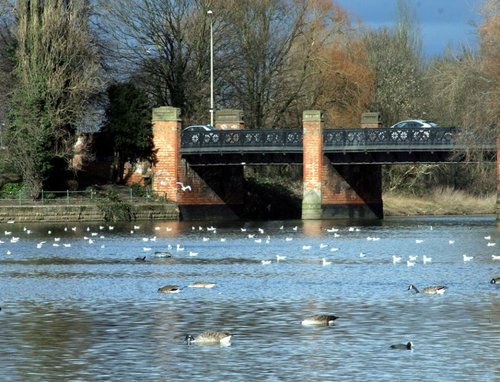 Abbey Park, Leicester, Leicestershire.