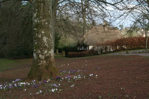 Cockington