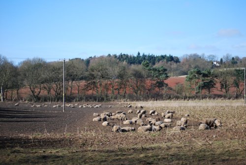 View from the Canal towards Stourton