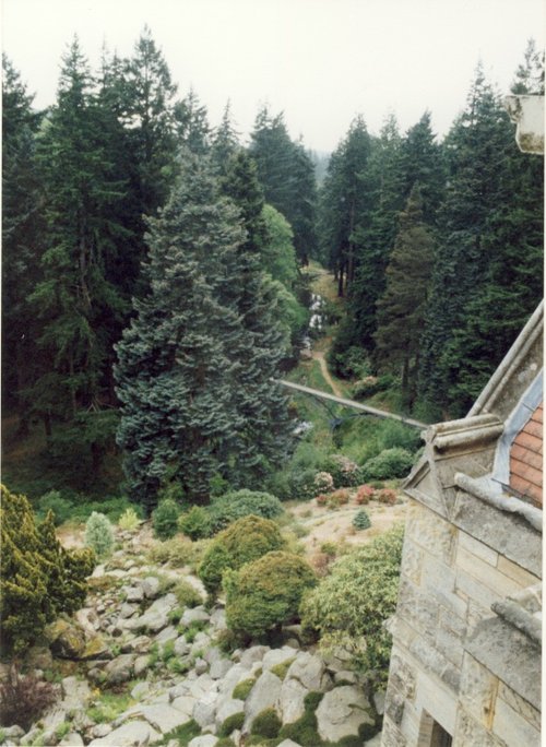 A picture of Cragside