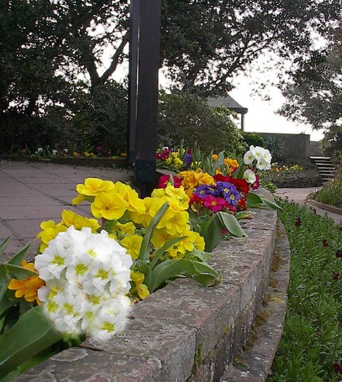 Connaught Gardens