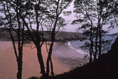 A Pembrokeshire Coastal Beach.