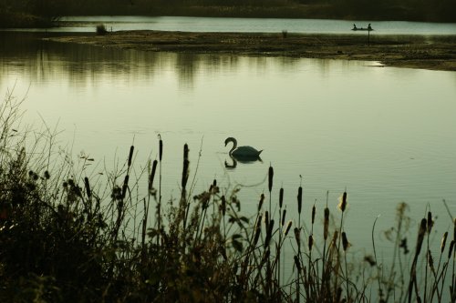 Late afternoon light