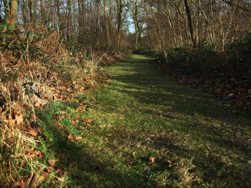 Hill Holt Wood