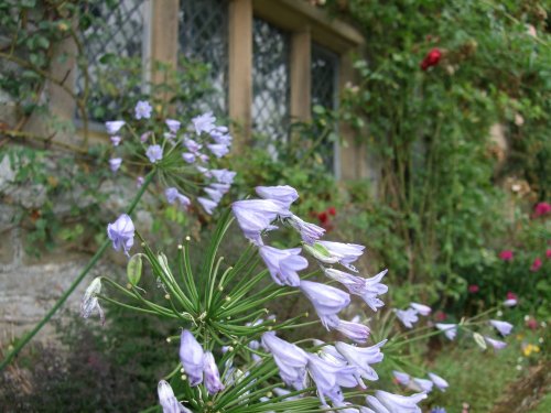 The garden, Haddon Hall