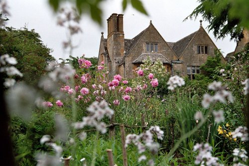 Roses in Hidcote Manor Garden