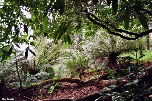 The Lost Gardens of Heligan