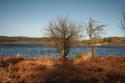 Fernworthy Reservoir