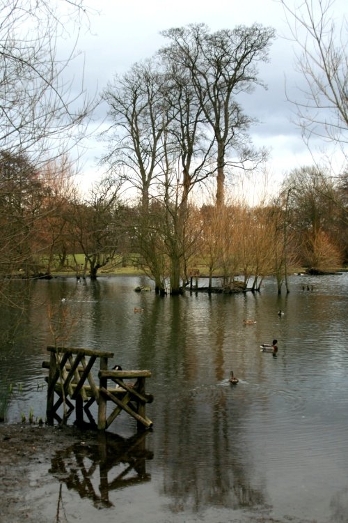 The lake at Nidd.