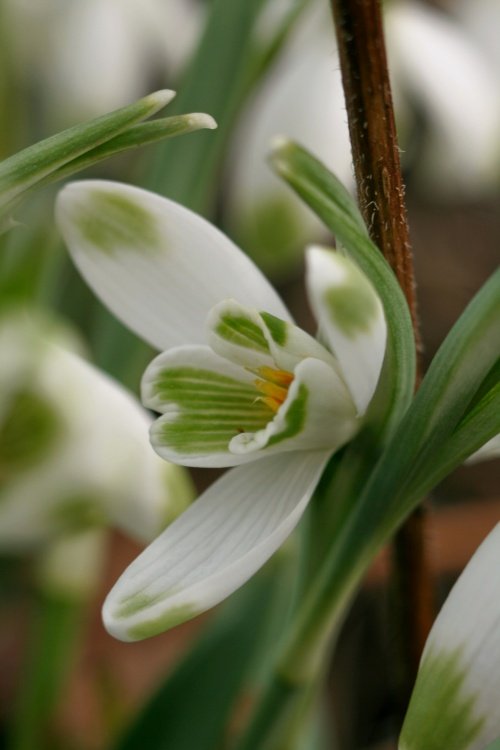 Spring's well and truly on it's way.