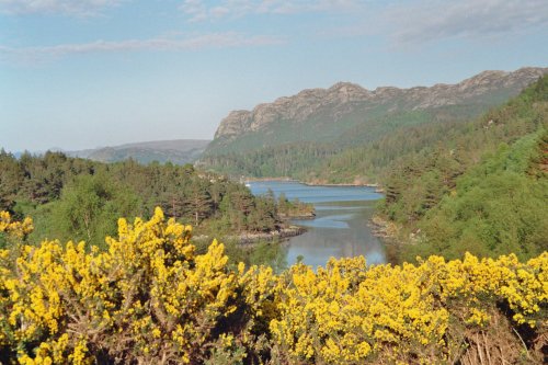 Plockton: View from village border to the Loch