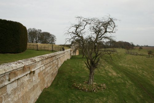 Belsay Hall gardens