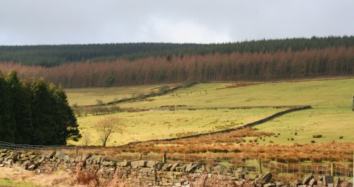 Longridge Fell