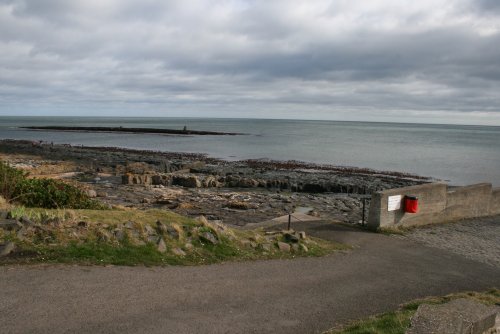 Craster