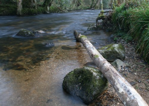 Dartmoor