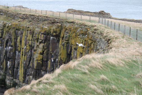 Dunstanburgh Castle