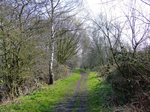 Walking the path around the lake at Denaby Ings