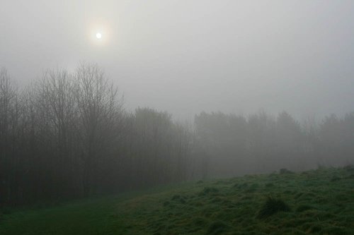 Foggy morning in Boley Park