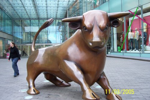 Birmingham Bull