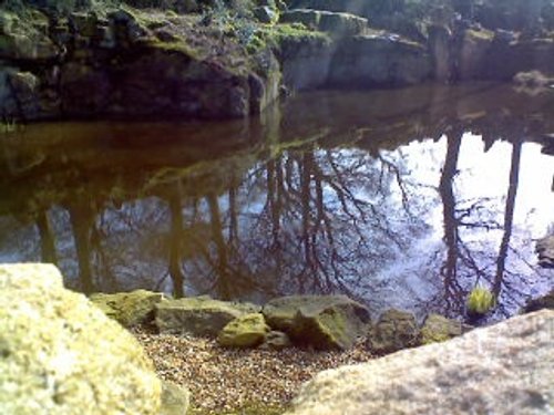 Lake at Craghall, Wray.