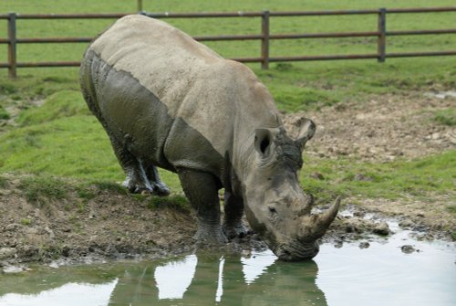 Longleat