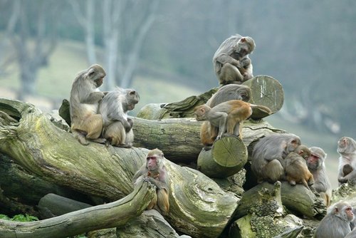 Longleat