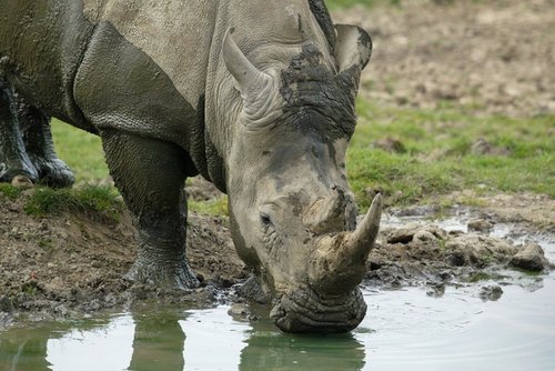 Longleat