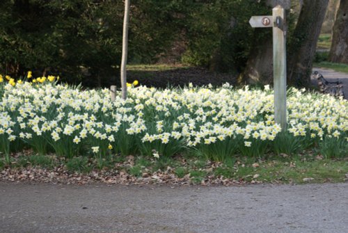 A picture of Thorp Perrow